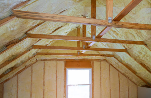 Best Energy-efficient Insulation  in Roanoke Rapids, NC