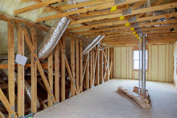 Best Insulation Removal  in Roanoke Rapids, NC