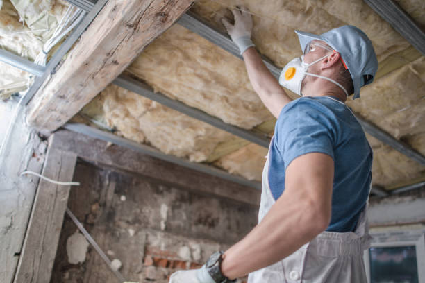 Best Spray Foam Insulation  in Roanoke Rapids, NC
