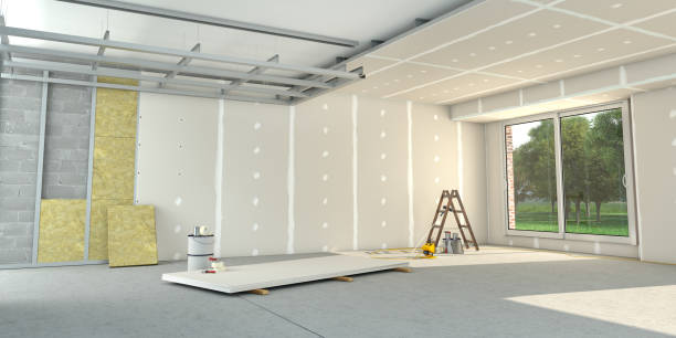 Best Home Insulation Services  in Roanoke Rapids, NC