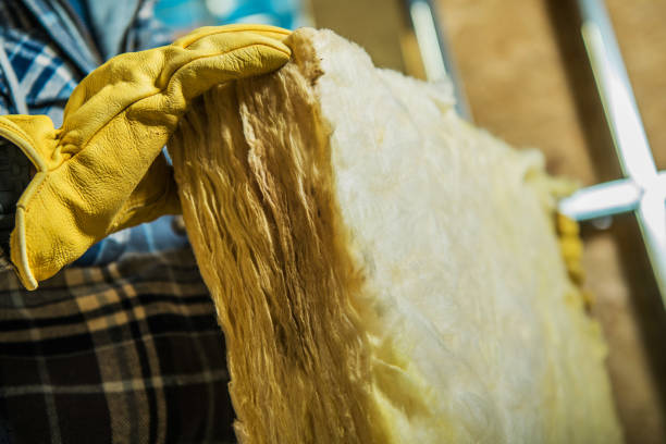 Best Insulation Contractor Near Me  in Roanoke Rapids, NC