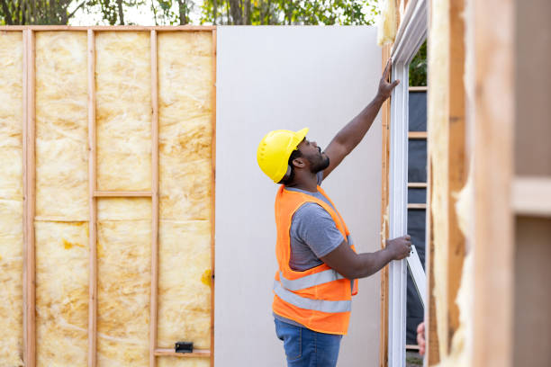 Best Fiberglass Insulation  in Roanoke Rapids, NC