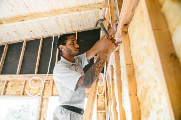 Insulation Inspection Services in Roanoke Rapids, NC