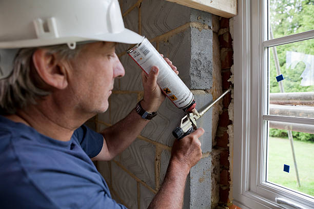Best Insulation Replacement Services  in Roanoke Rapids, NC