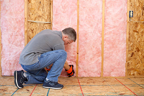 Best Attic Insulation Installation  in Roanoke Rapids, NC