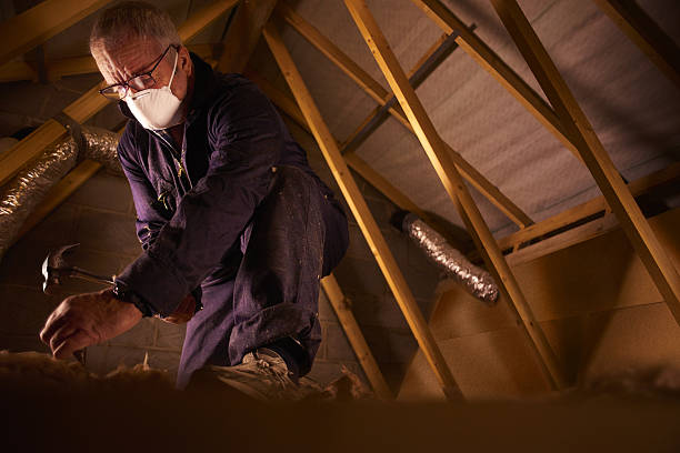 Best Wall Insulation Contractor  in Roanoke Rapids, NC
